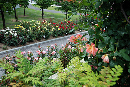b0059664_18404936.jpg
