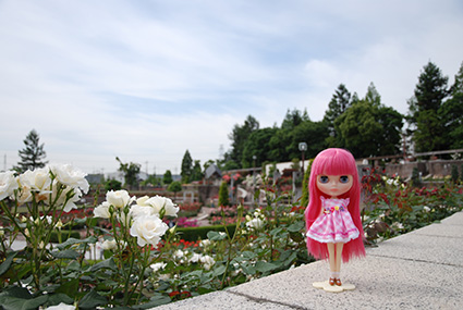 b0059664_1841547.jpg