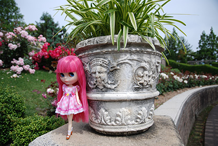 b0059664_1841861.jpg