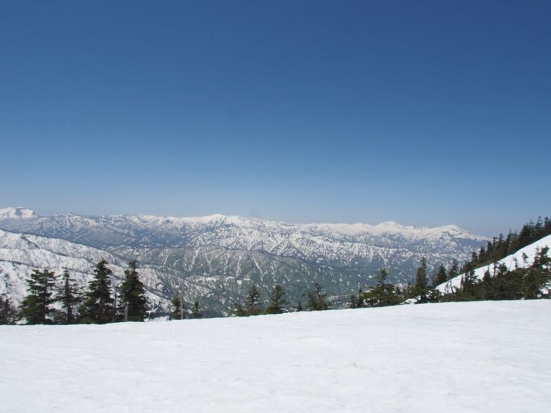 c0321967_840351.jpg