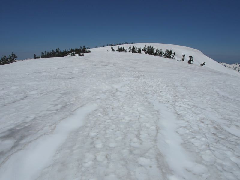 c0321967_8403836.jpg