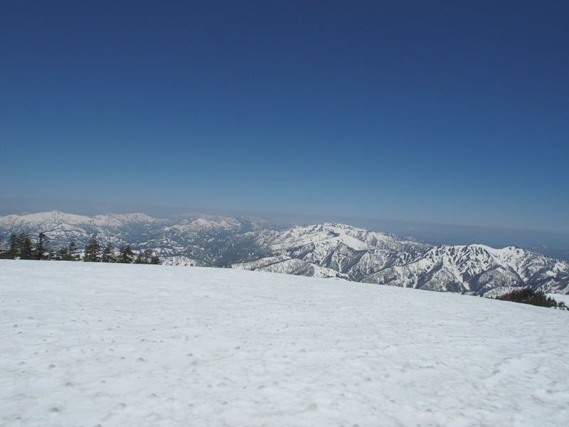 c0321967_8404067.jpg