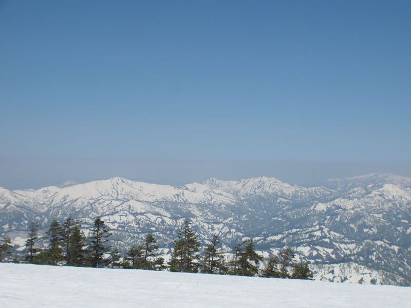 c0321967_8404244.jpg
