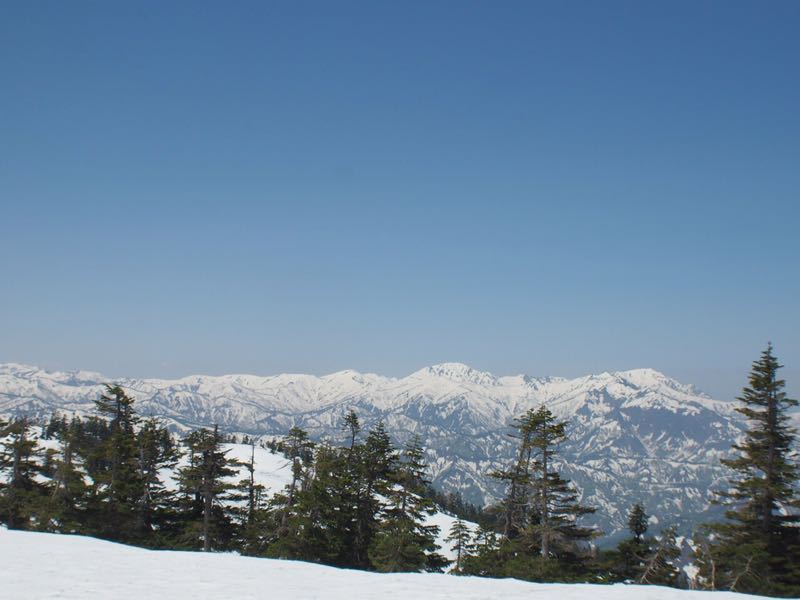 c0321967_8404745.jpg