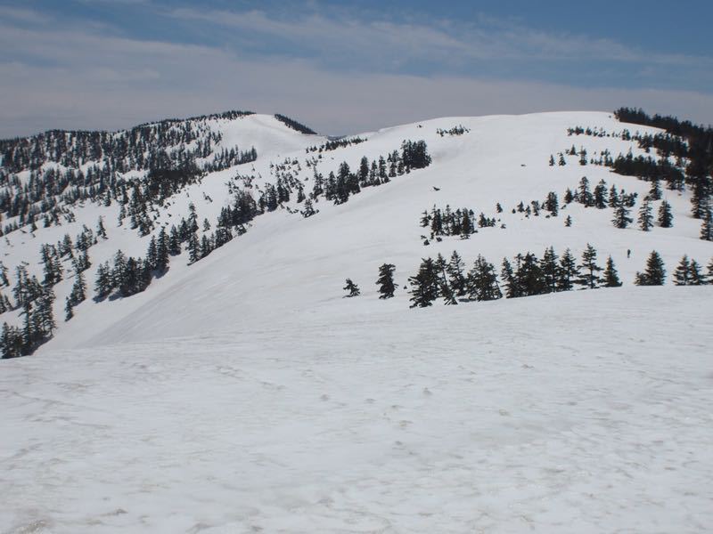 c0321967_8404828.jpg