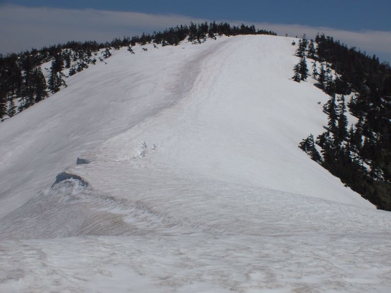 c0321967_840504.jpg