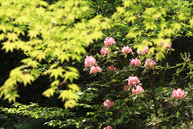 b0055171_2233117.jpg