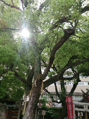 f0152875_8185299.jpg