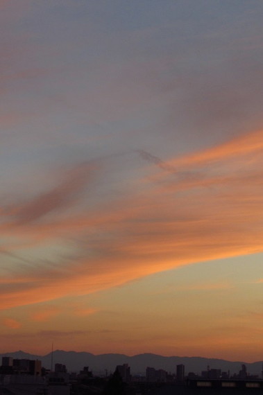 b0326576_23491359.jpg