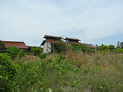 e0066586_16561992.jpg