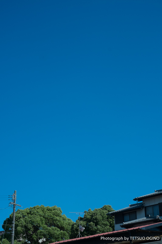 a0331987_00401300.jpg