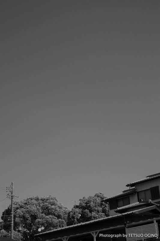 a0331987_00401478.jpg