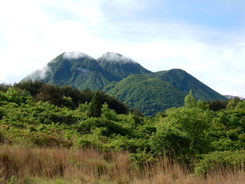 a0326292_1122250.jpg