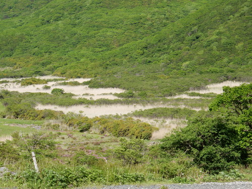 a0326292_1122280.jpg