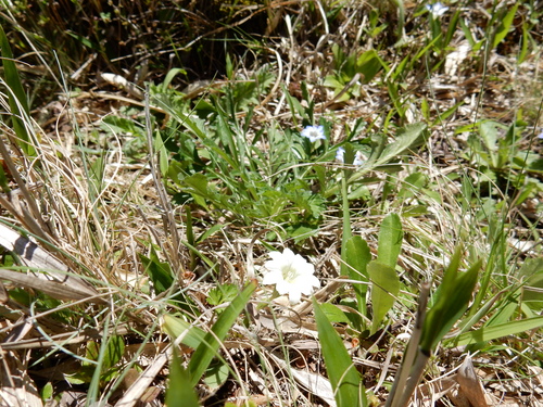 a0326292_1174965.jpg