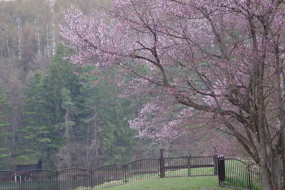c0352894_13365940.jpg