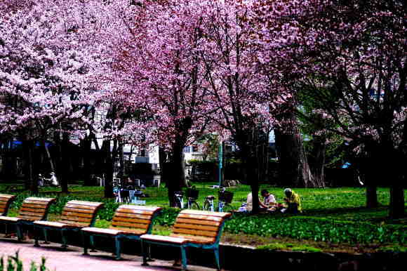 c0352894_13444617.jpg