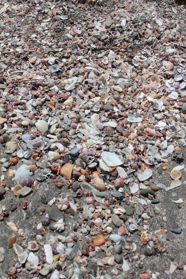 c0204298_13374980.jpg