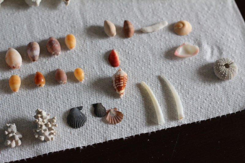 c0204298_14125592.jpg