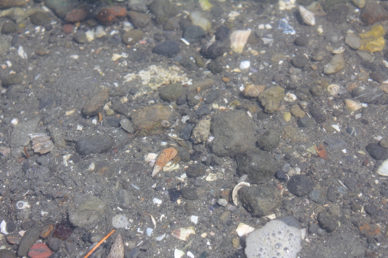 c0204298_18113956.jpg