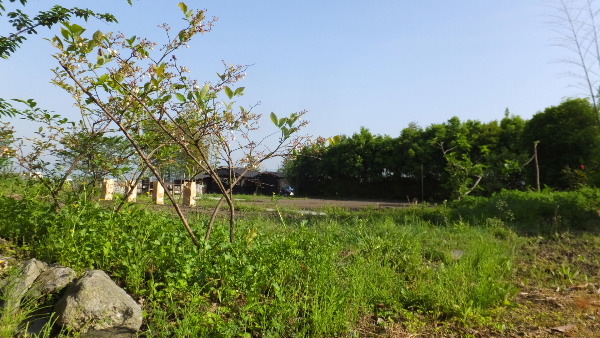 d0080998_23043282.jpg