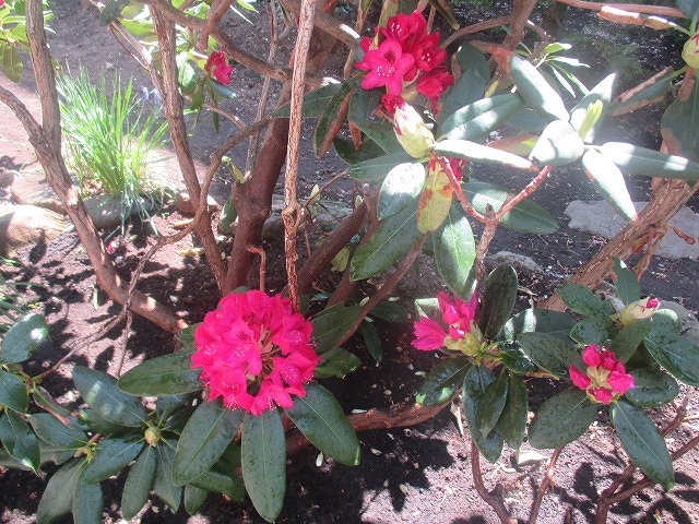 f0202703_22364271.jpg