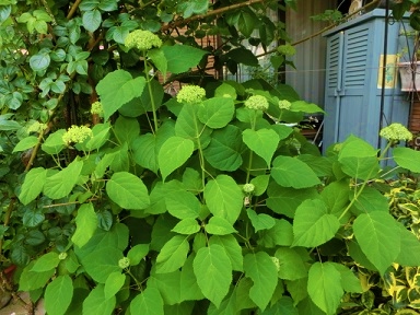c0204121_21245646.jpg