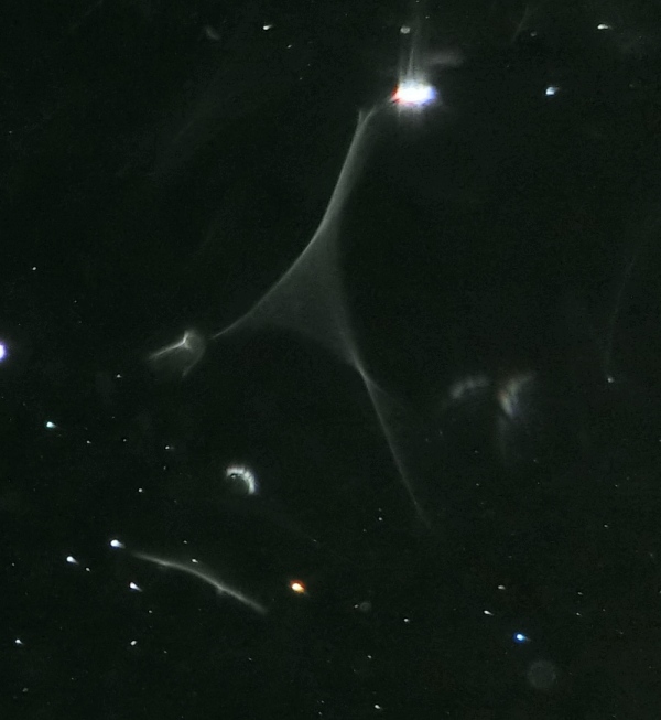 c0331825_08460036.jpg