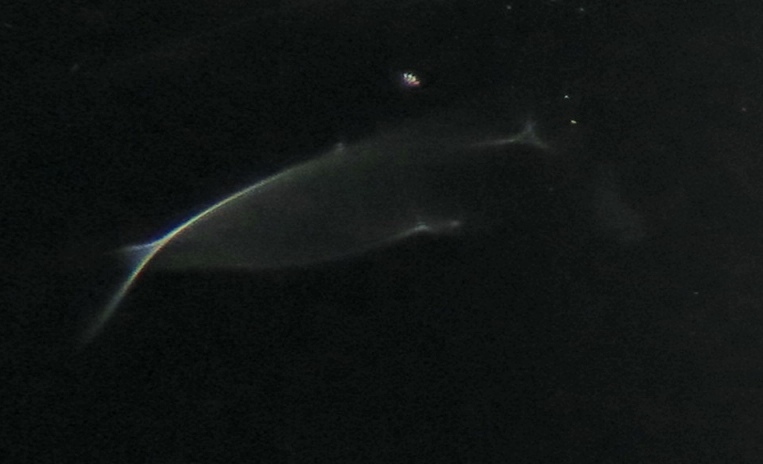 c0331825_09450281.jpg