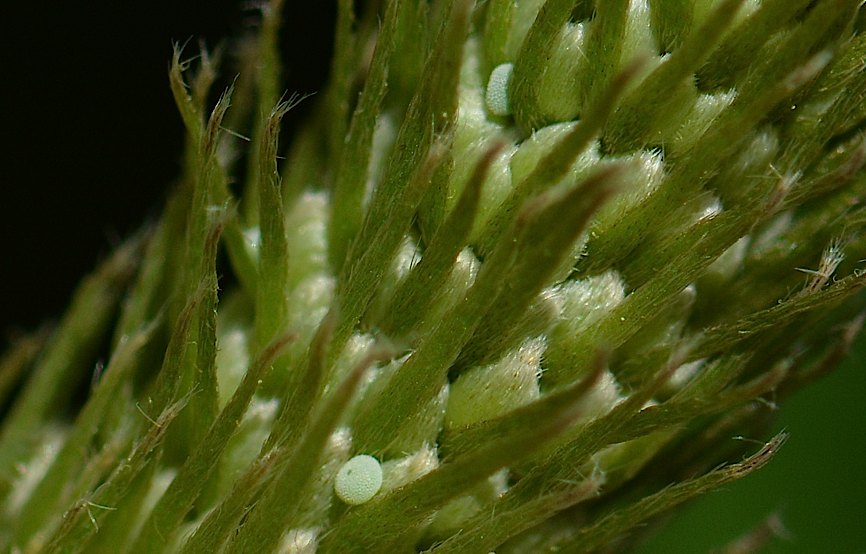 d0303129_052098.jpg