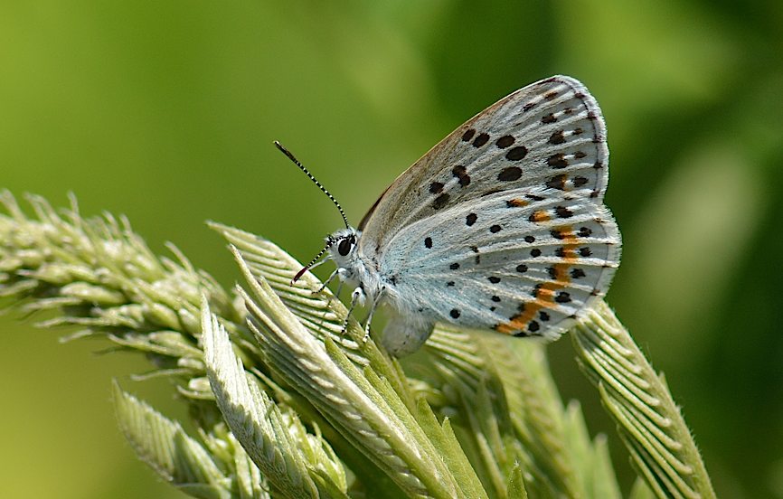 d0303129_05511.jpg