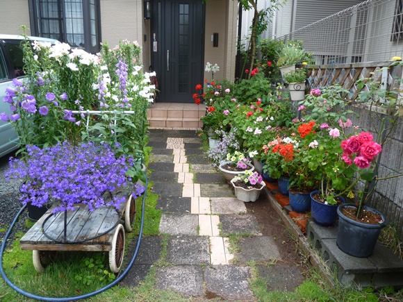 e0033229_2125516.jpg
