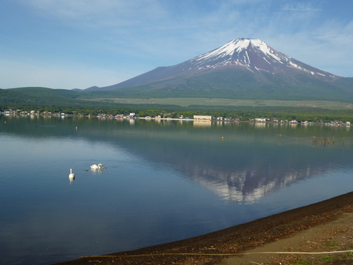 f0304030_1084695.jpg