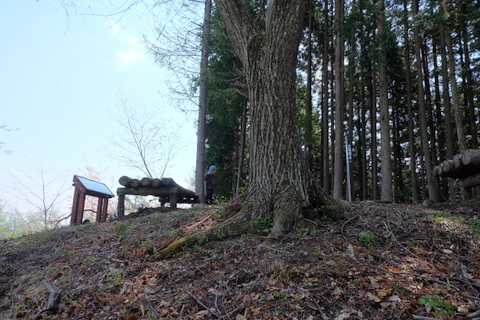 b0281732_15263251.jpg