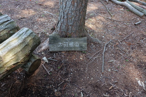 b0281732_152634.jpg