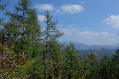 b0281732_15265938.jpg