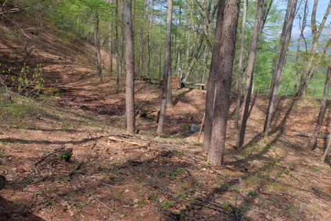 b0281732_15275723.jpg