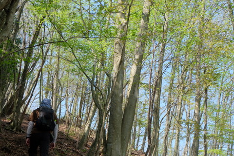 b0281732_15281338.jpg