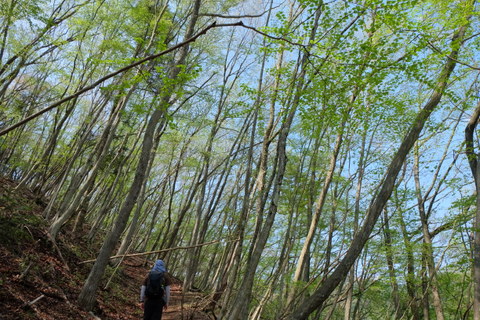 b0281732_15282116.jpg
