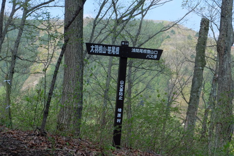 b0281732_1528633.jpg