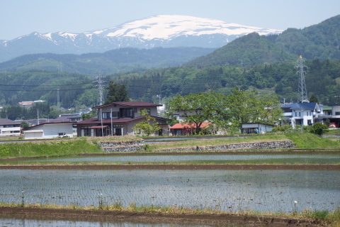f0118332_23163594.jpg