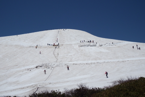 f0118332_23193141.jpg