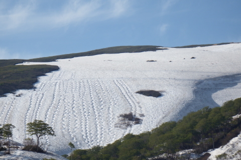 f0118332_23302671.jpg