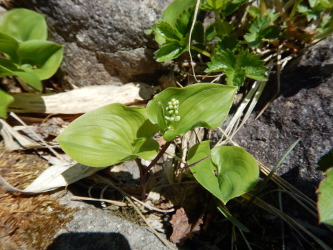 f0118332_23314351.jpg