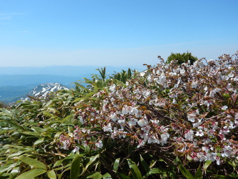 f0118332_23323890.jpg