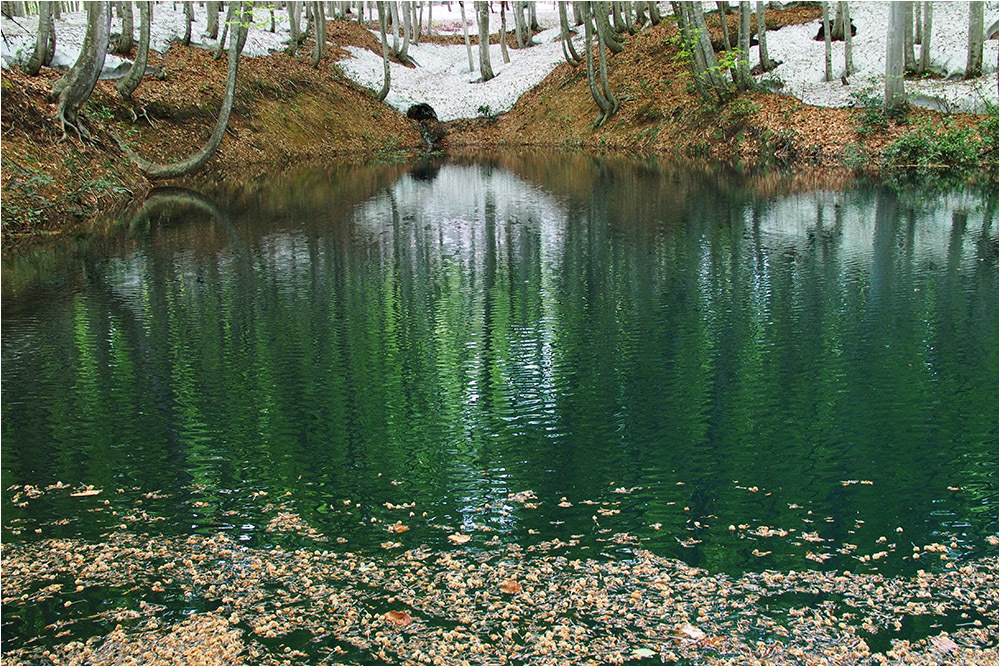 d0328840_18082275.jpg