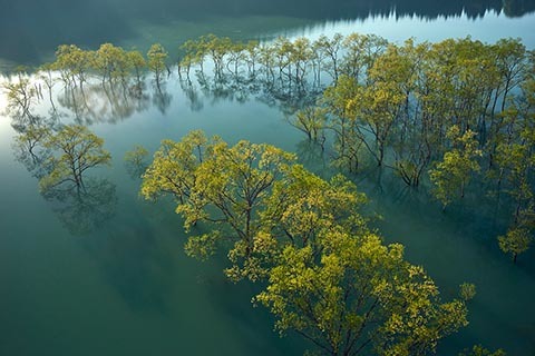 e0080345_17002549.jpg