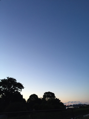 e0217950_5523462.jpg