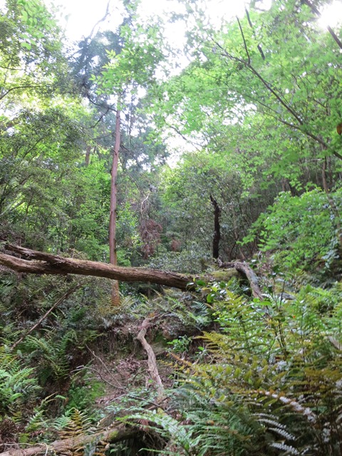 e0017051_7264158.jpg