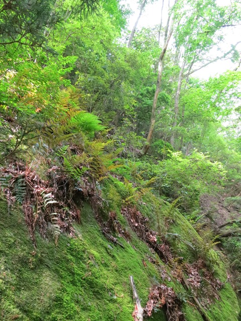 e0017051_7265133.jpg